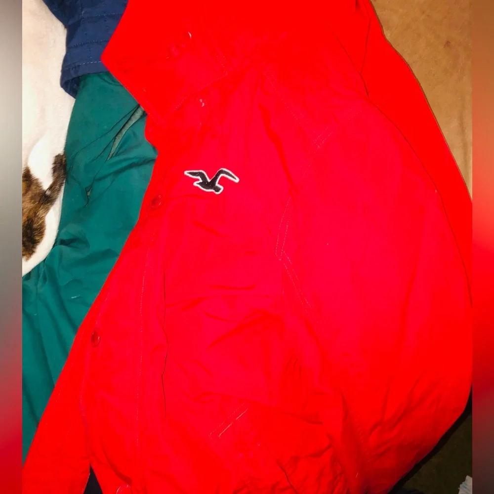 Hollister jacket - Picture 3 of 5
